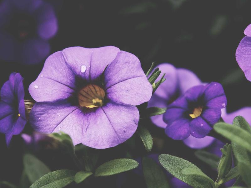 sudoku kenken screenshot 4