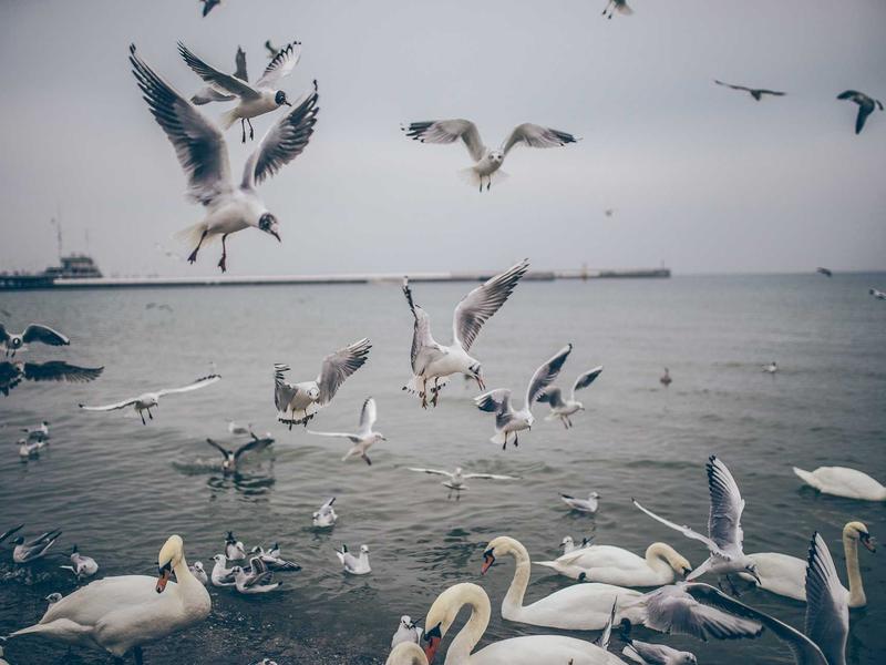 sudoku kenken screenshot 2